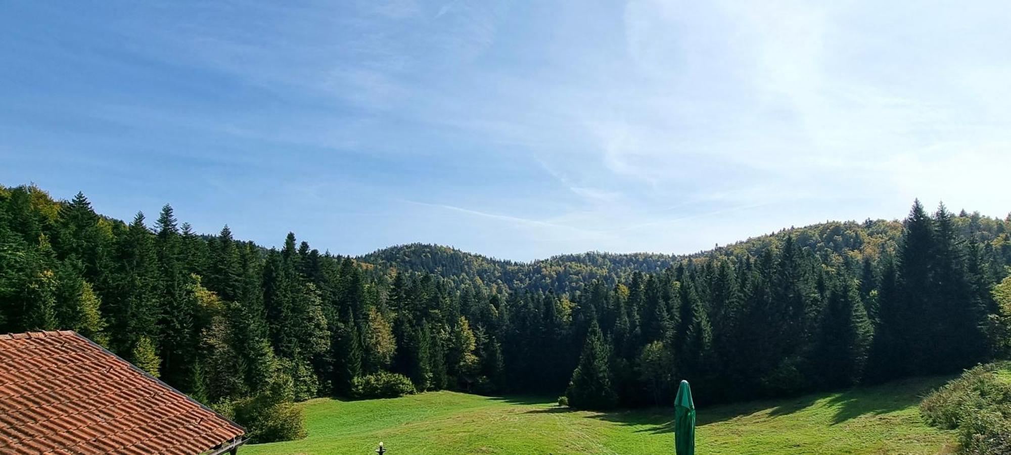 Planinski Dom Na Travni Gori Sodrazica Extérieur photo